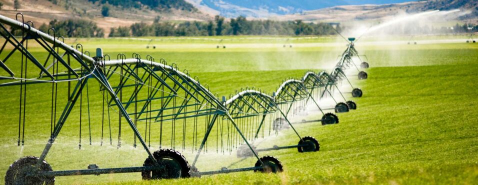 Drip Irrigation