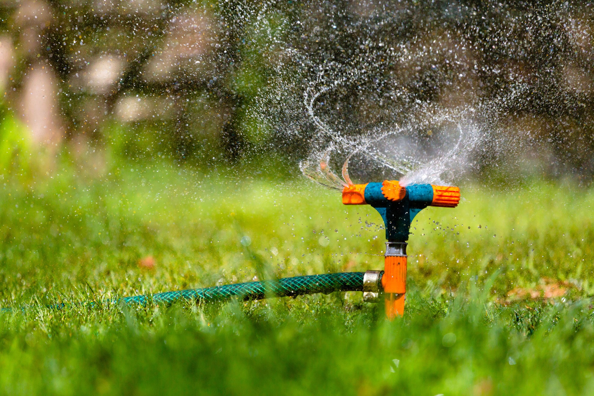 outdoor-water-use-at-home