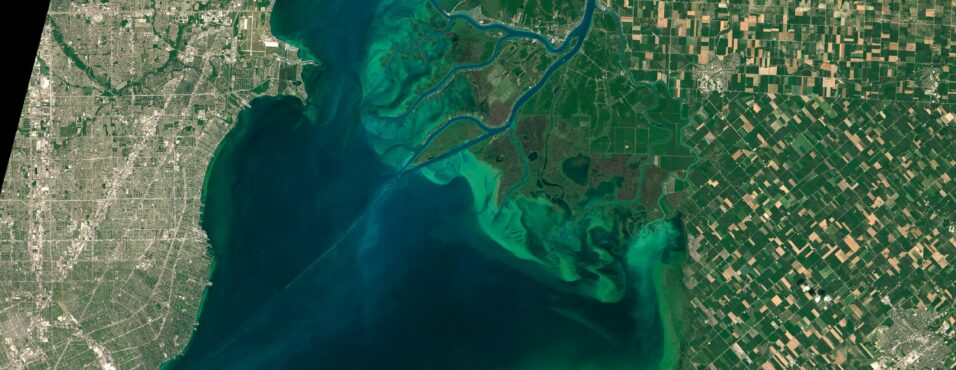 Algae Bloom in Lake St. Clair