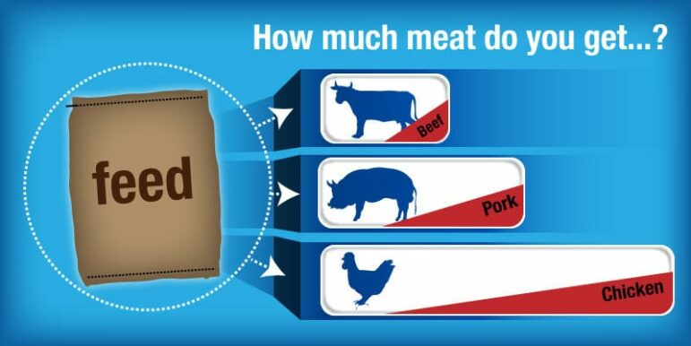 how much meat do you get? chart