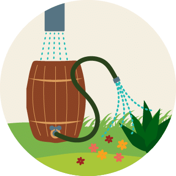 rain barrel