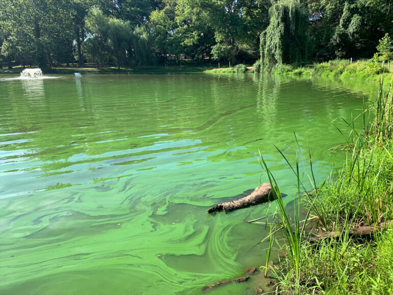 Harmful Algal Blooms in Water Water Footprint Calculator