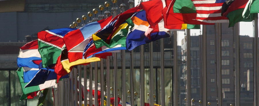 UN flags